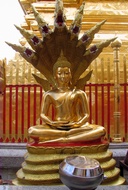 Buddha with Nagas