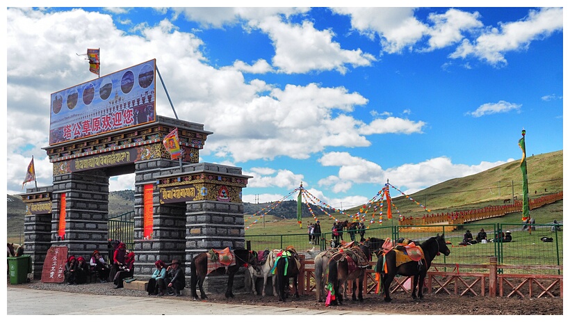 Tibetan Culture