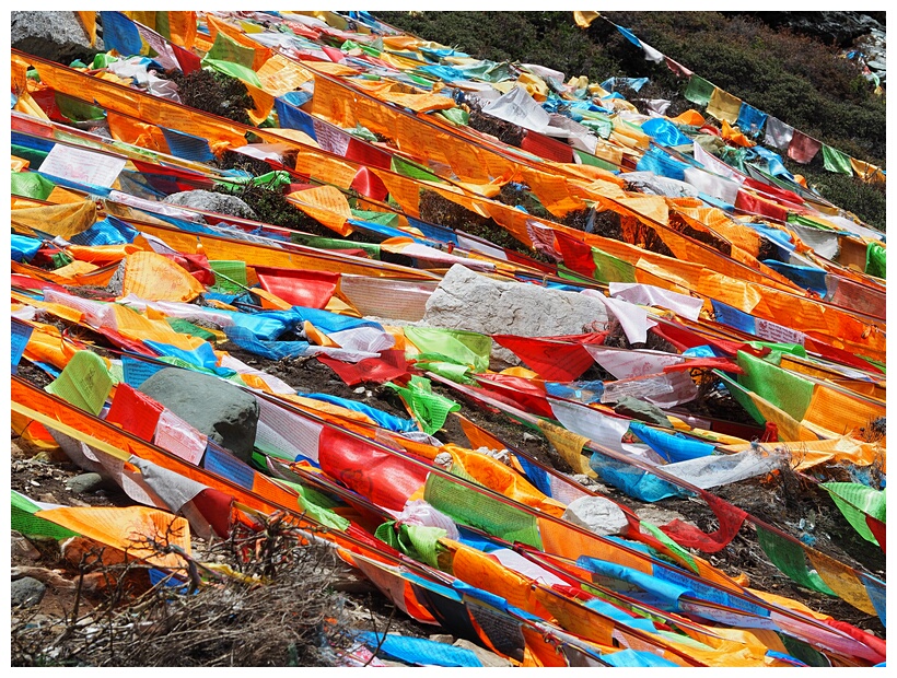 Prayer Flags