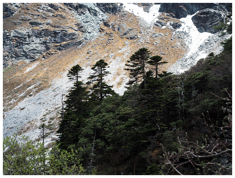 Yading Nature Reserve