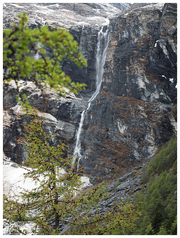 Yading Nature Reserve