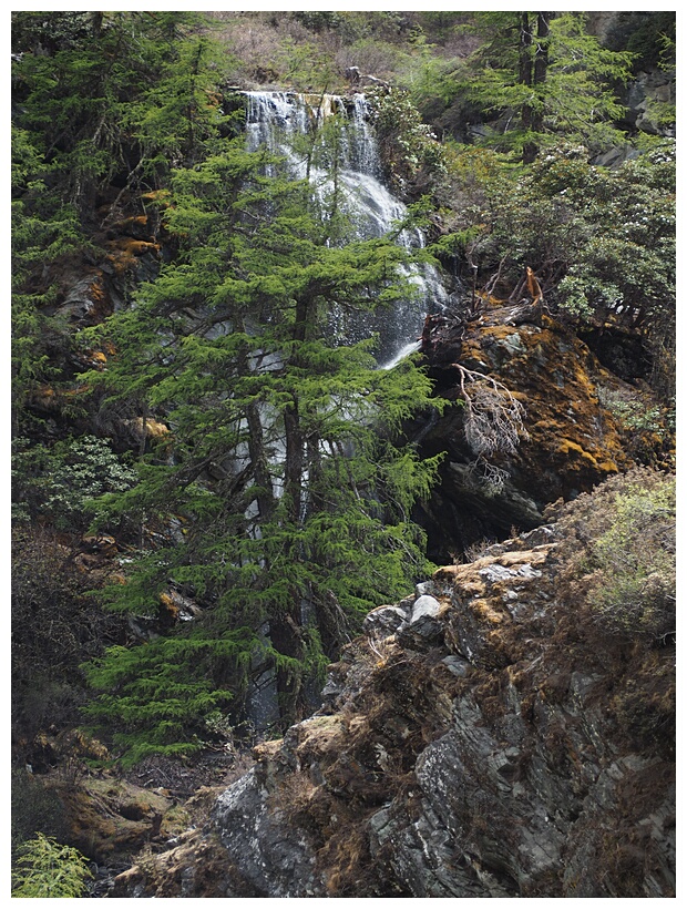 Yading Nature Reserve