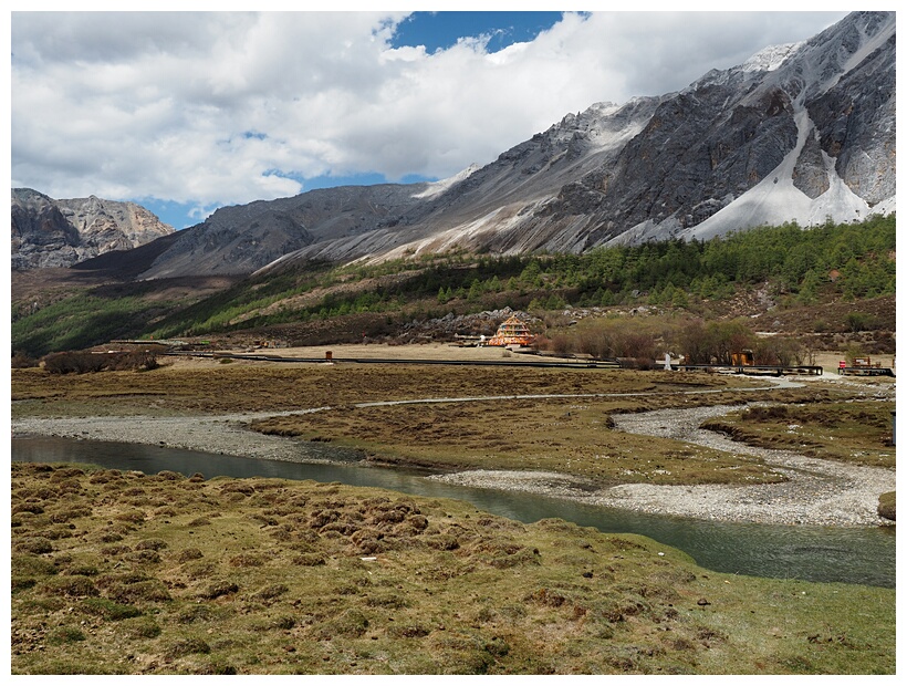 Luorong Pasture