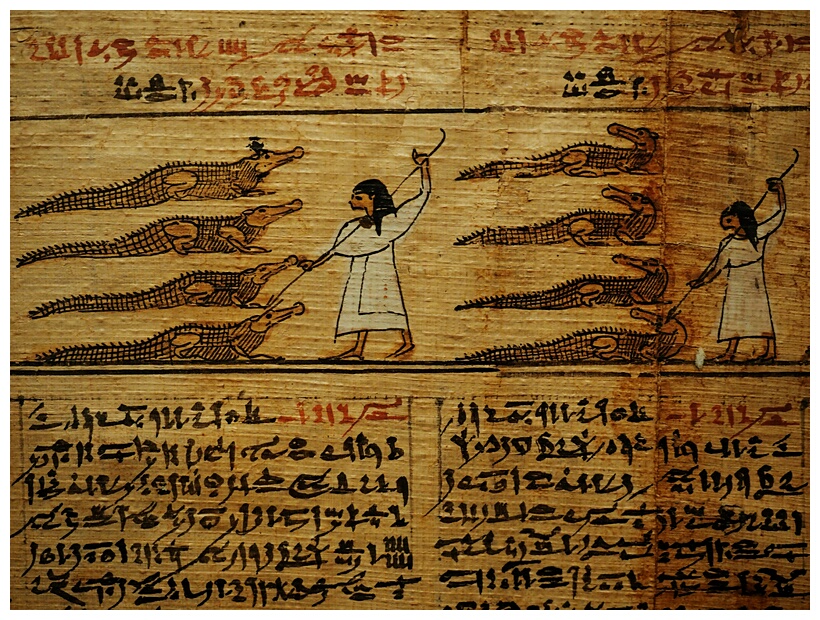 Book of the Dead of Taysnakht