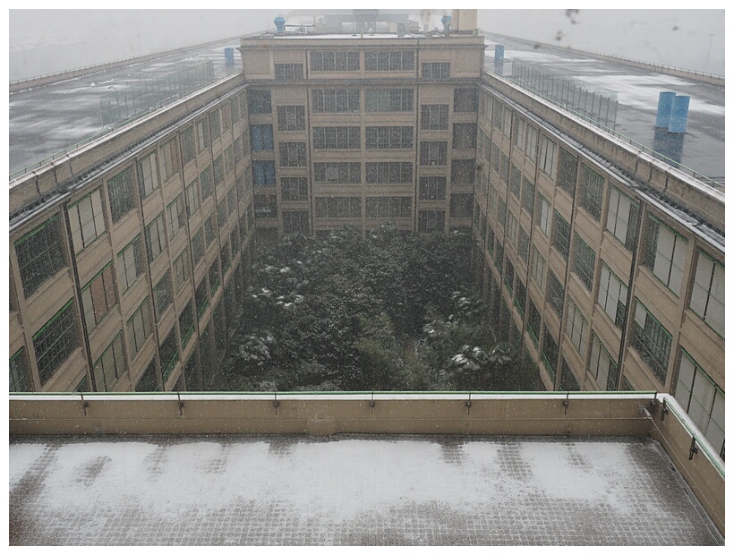 The Lingotto Building