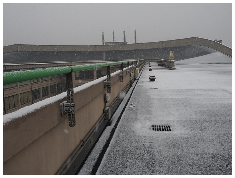 The Lingotto Building