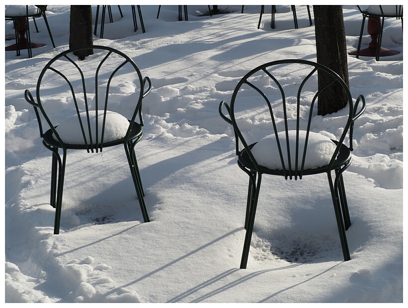 Snow Cushions