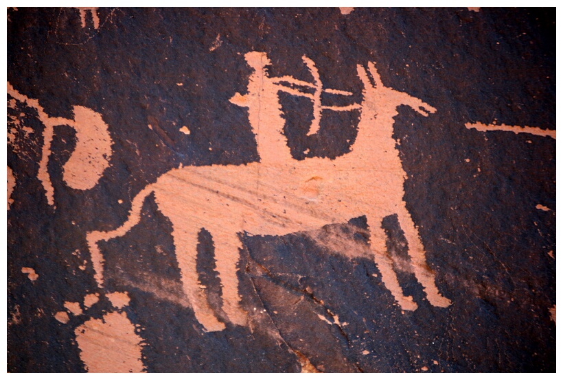 Newspaper Rock