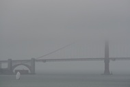 Fog in the Bridge