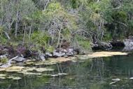 Cenote de Xel-Ha
