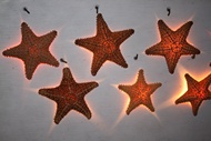 Estrellas de Mar