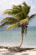 Playa de Punta Allen