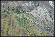 Laohuzui Rice Terraces
