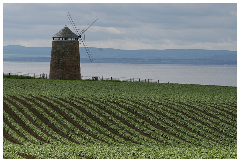 Windmill