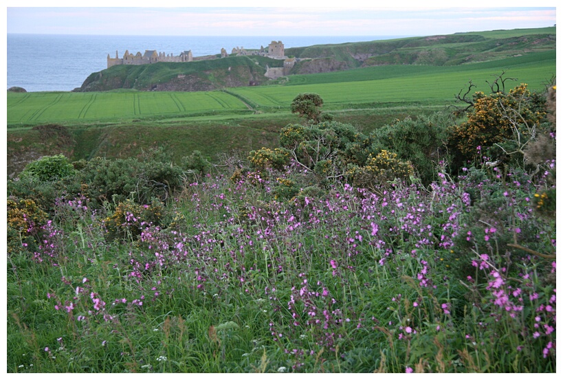 Dunnottar Castle