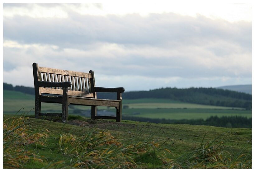 Lonely bench