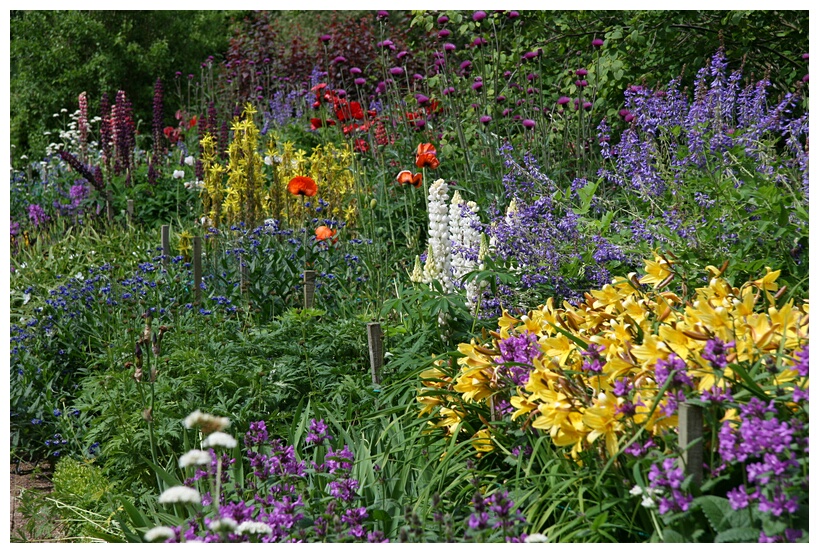 Flowers in Crathes Castle