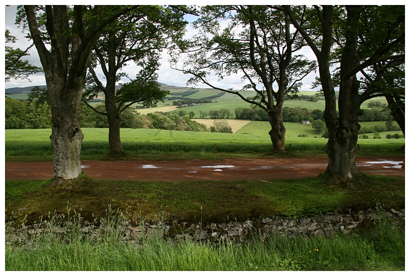 Scottish landscape