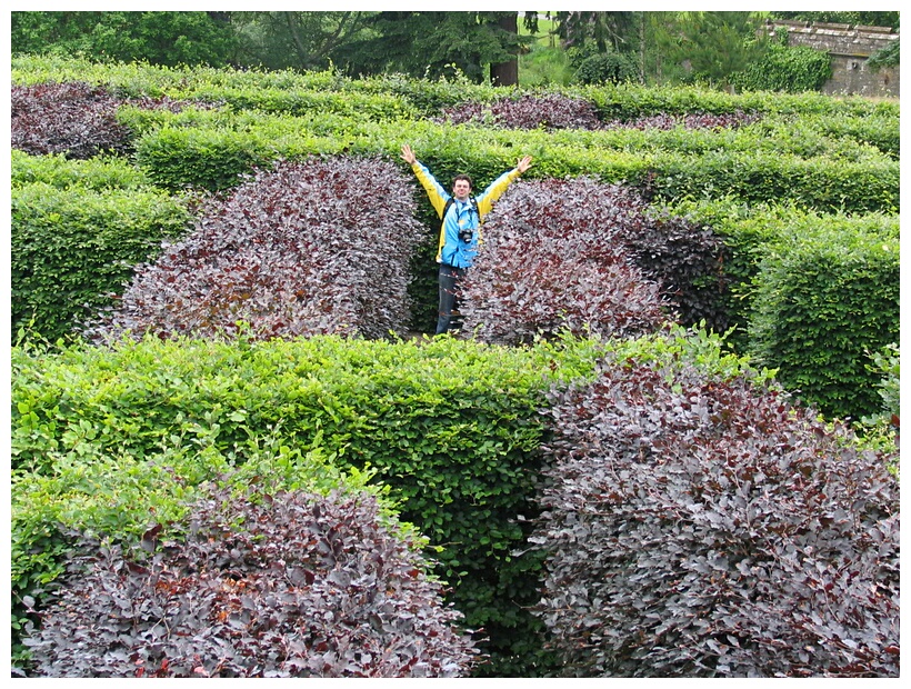 Scone Maze