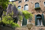 Venetian flowers