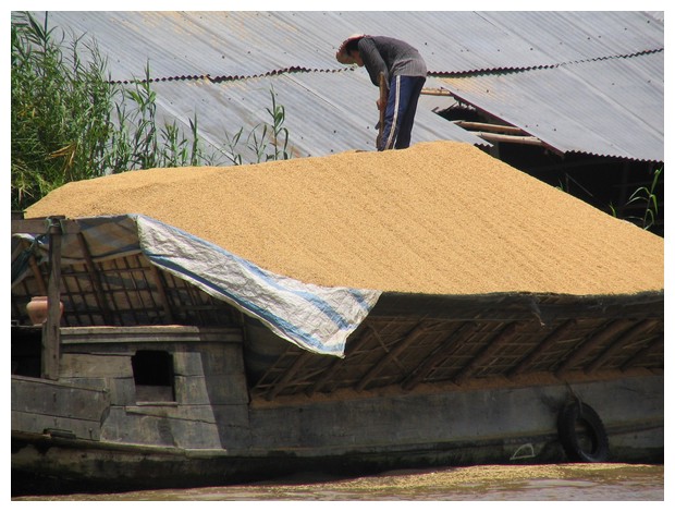 Rice Boat