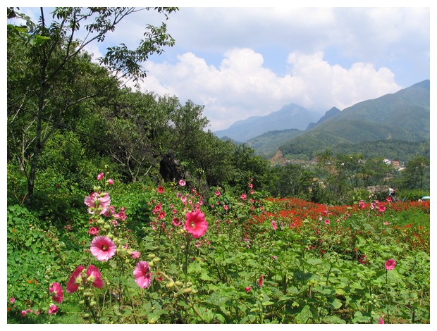 SaPa View