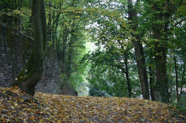 On the walt to Castle Stolzenfels