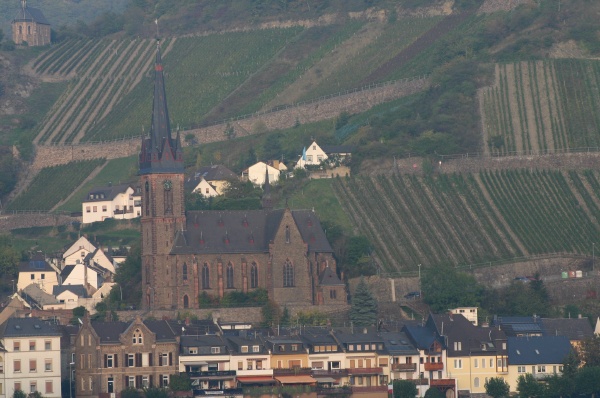 Town in the Rhein Valley