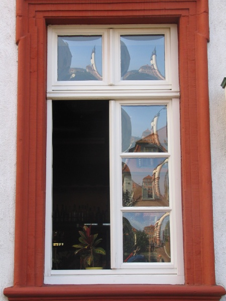 Window