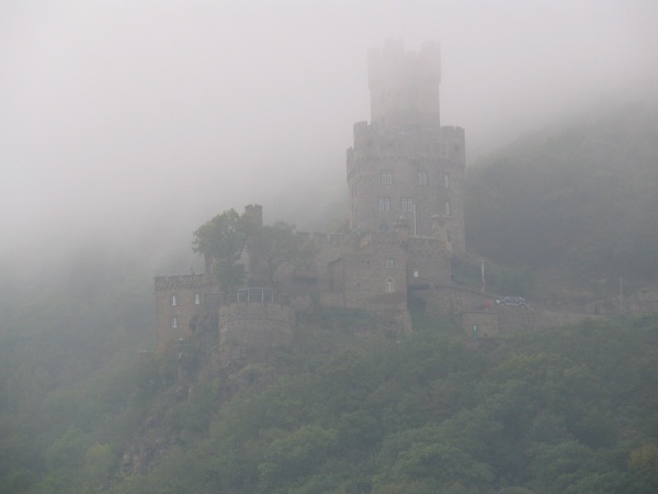 Castle in the Rhein Valley