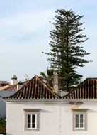 Tavira Houses