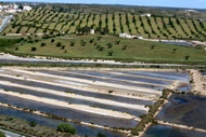 Saltpans