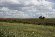 Countryside View