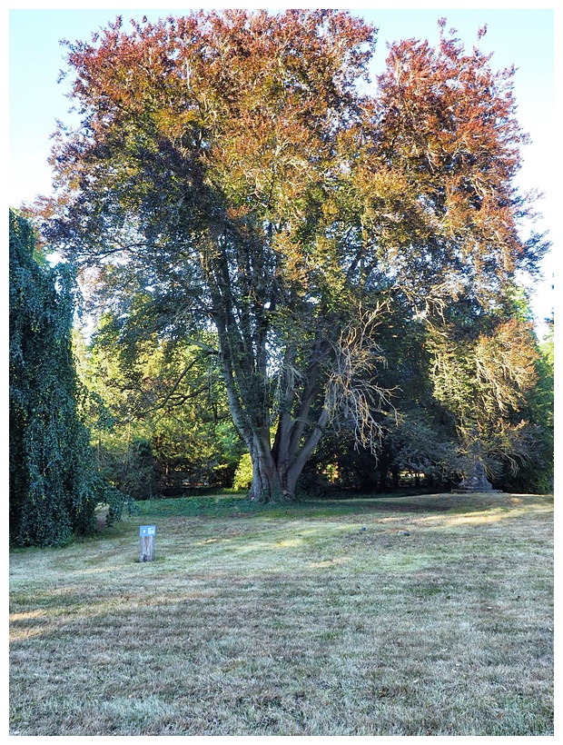 Parc de la Ppinire