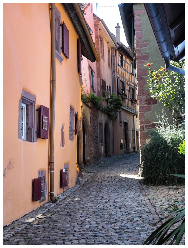 Riquewihr