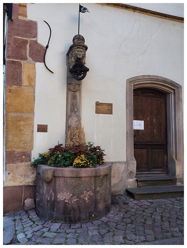 Well at Adolph House