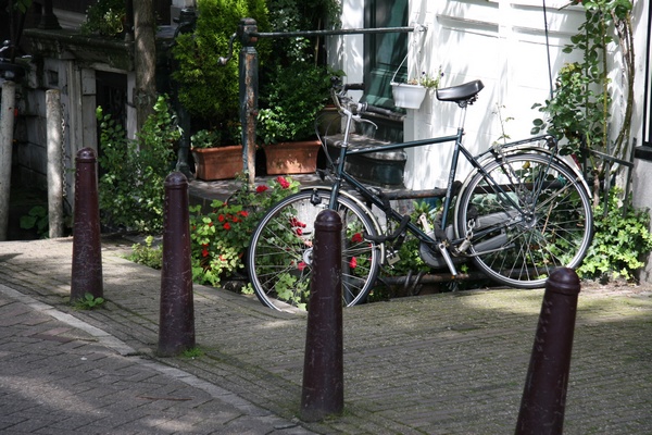 Lonely Bike