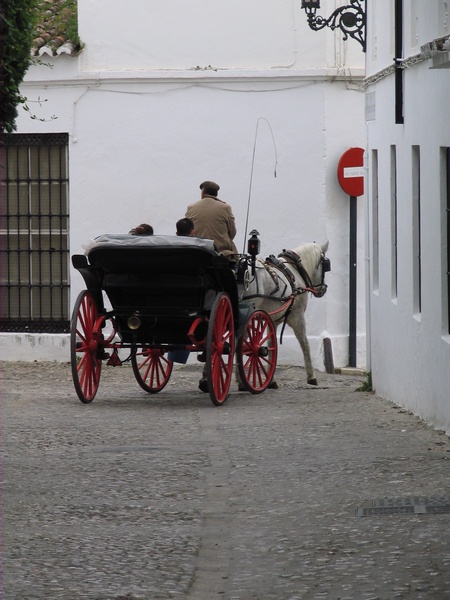 Paseo en Calesa