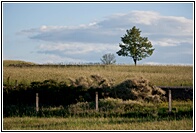 Paisaje Salmantino