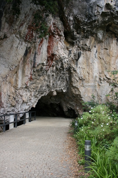 Cuevas de Tito Bustillo