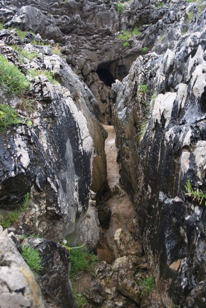 Bufones de Arenillas