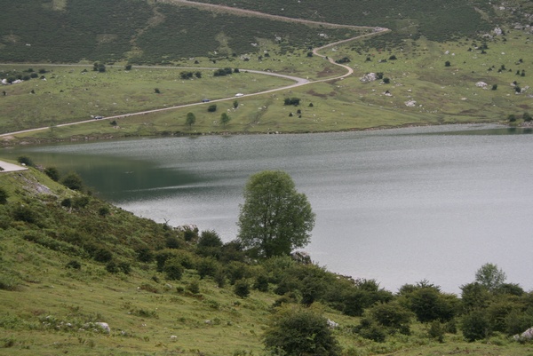 Lago de Enol