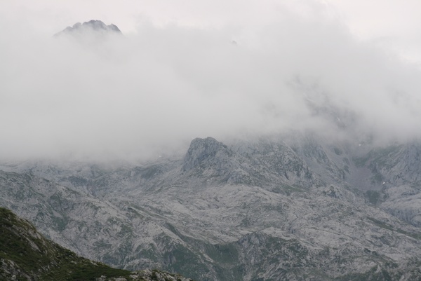 Niebla en las Alturas