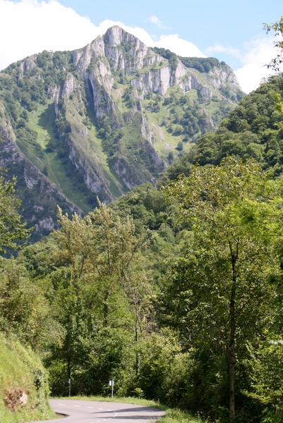 Picos de Europa