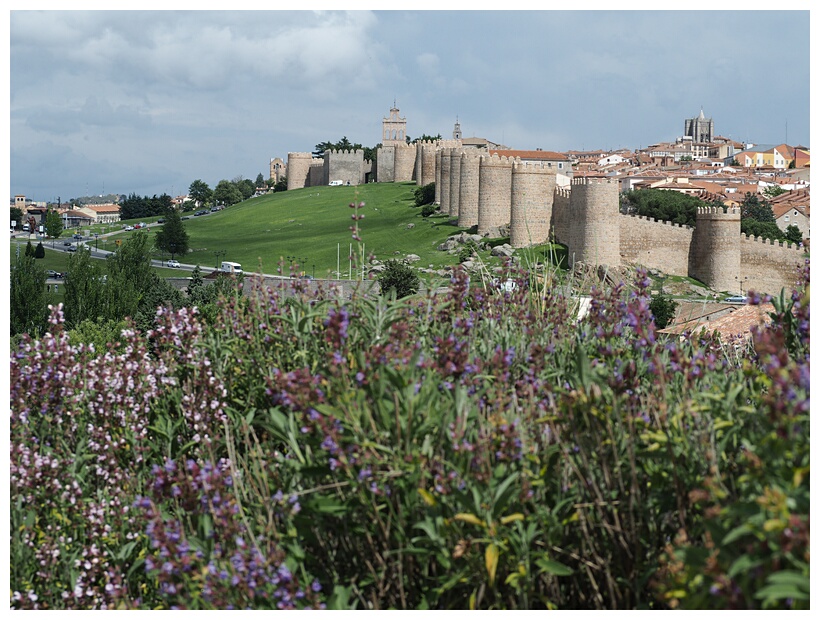 Murallas de vila