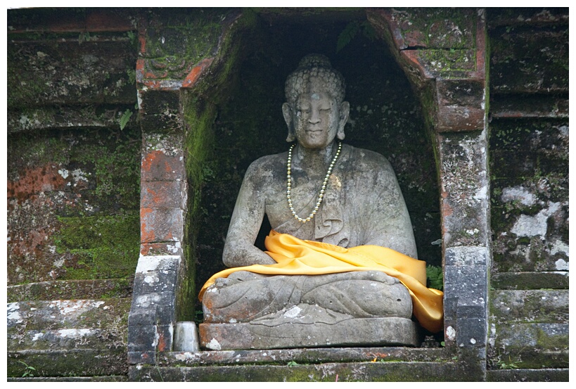 Buddha Image