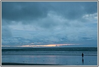 Lonely Beach