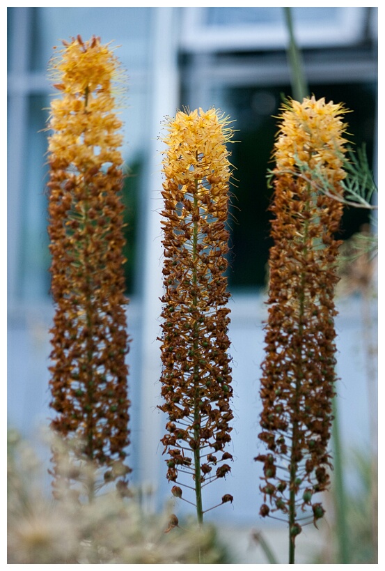 Tartu Botanic Garden