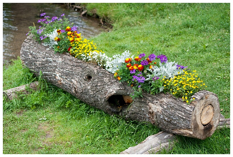 Flowery Log