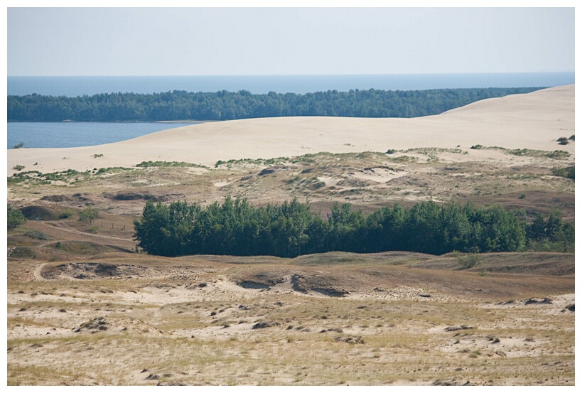 Curonian Spit